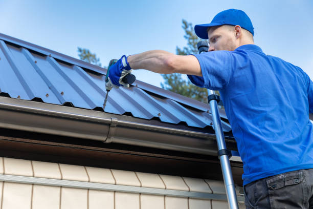 Best Chimney Flashing Repair  in Ovid, MI